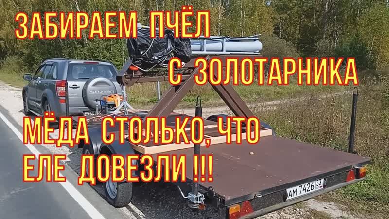 Мëда столько, что еле довезли. Забираем пчëл, с золотарника.