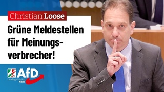 Grne Meldestellen fr Meinungsverbrecher!  Christian Loose (AfD)
