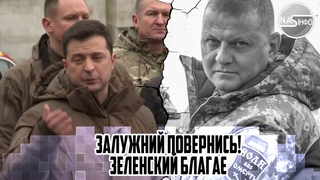 ЗАЛУЖНИЙ повернись! ЗЕЛЕНСКИЙ блага - НОВА посада. Терміново - повернення ГЕНЕРАЛА. ЗНОВУ КЕРУ