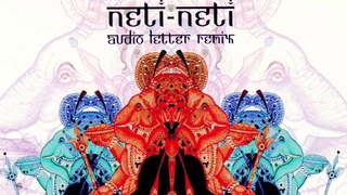 Neti Neti-Is This A Bridge Exactly ( Mike D Remix )