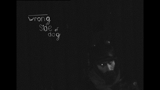 изнанка собаки / the wrong side of the dog (2021)