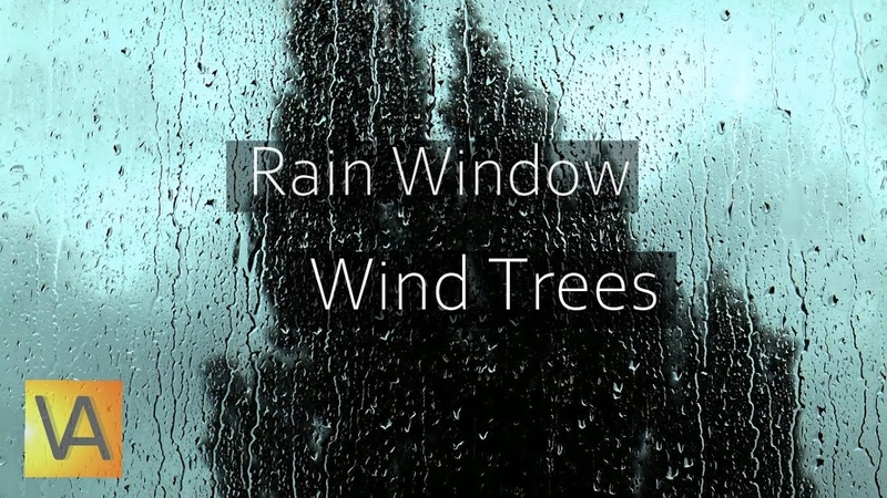 Rain Hitting Window with Wind Through Trees