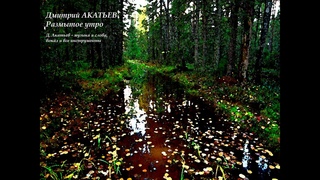 Дмитрий Акатьев - Размытое утро