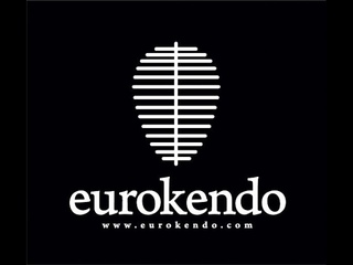 Eiga Sensei seminar video1 (eurokendo)