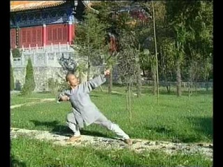 Shaolin Monk 8 Pieces of Brocade (Baduan Jin)