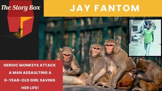 Heroic Monkeys Save An Innocent 6-Year-old Girl From Being Attacked By Man!