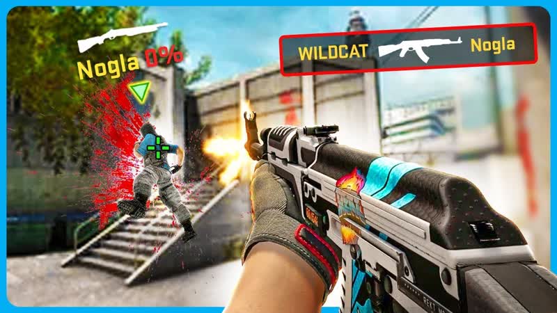 i wish my teammates would