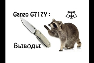 Выводы о Ganzo G717Y