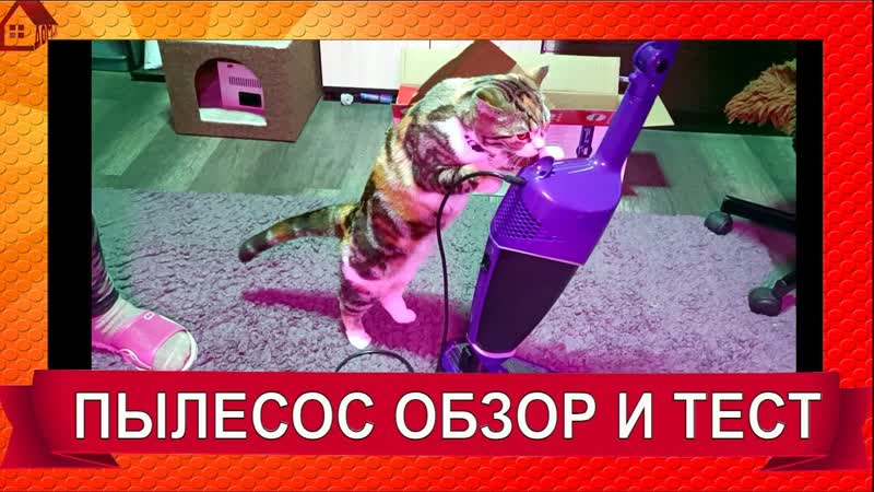 Если у Вас Есть Кот, Дети и Другие Домашние Животные Пылесос