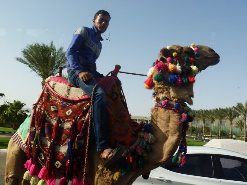 Елена Геллерт | Нижневартовск