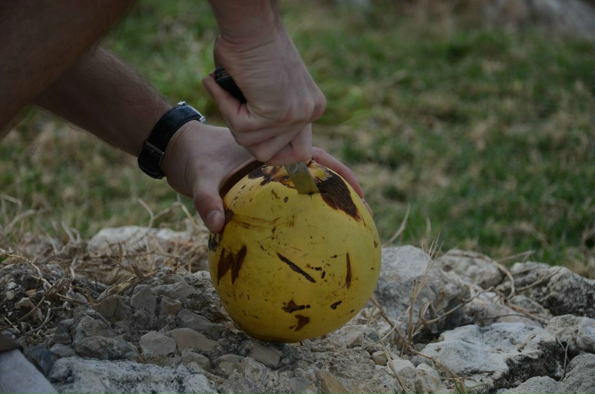 Сергей Желнинский Александрович | Воронеж