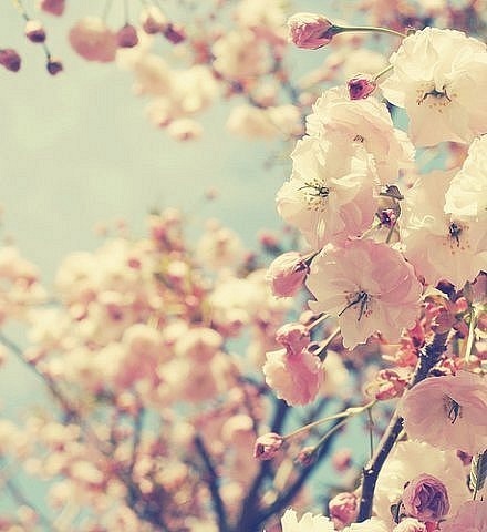 №9, Юлия Кухарчик, Гродно №9, Юлия Кухарчик, Гродно