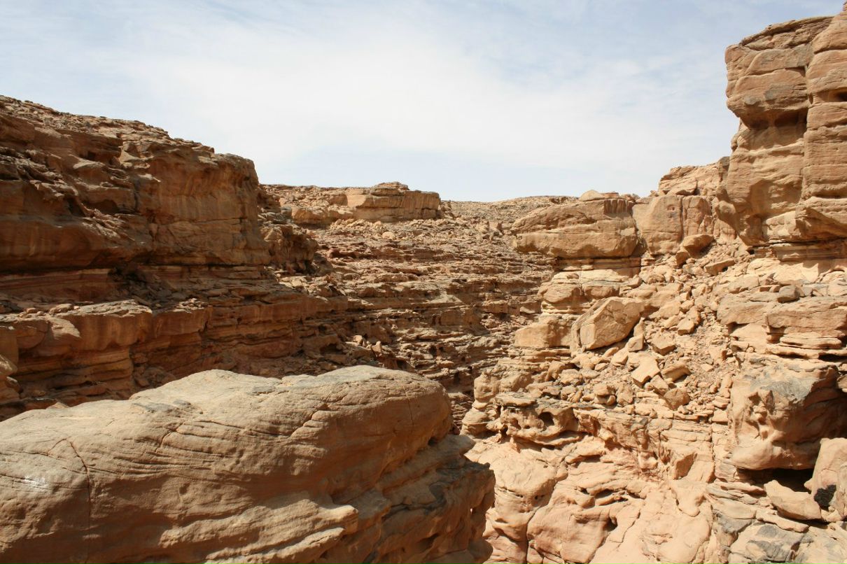 Юлия Мяскова | Вологда