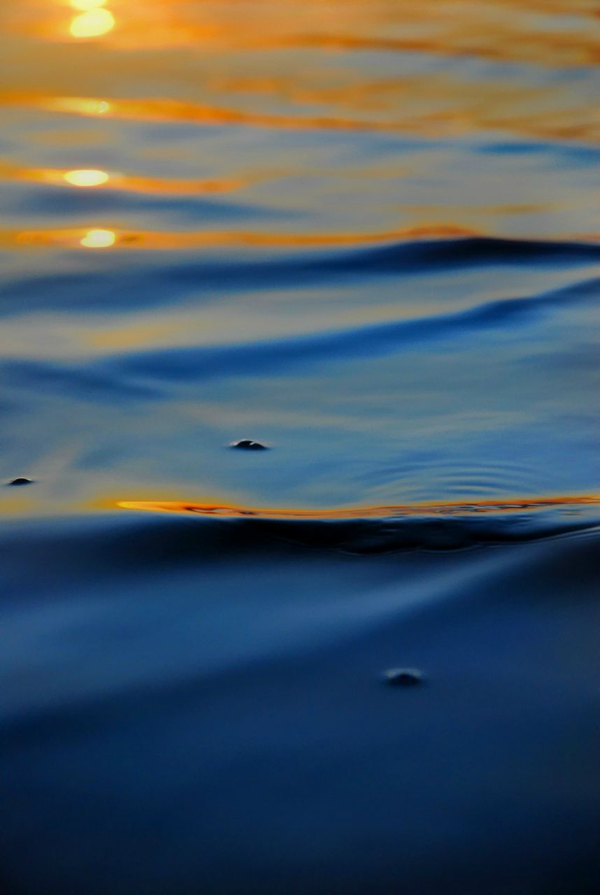 Evgeniy Potapov | Одесса