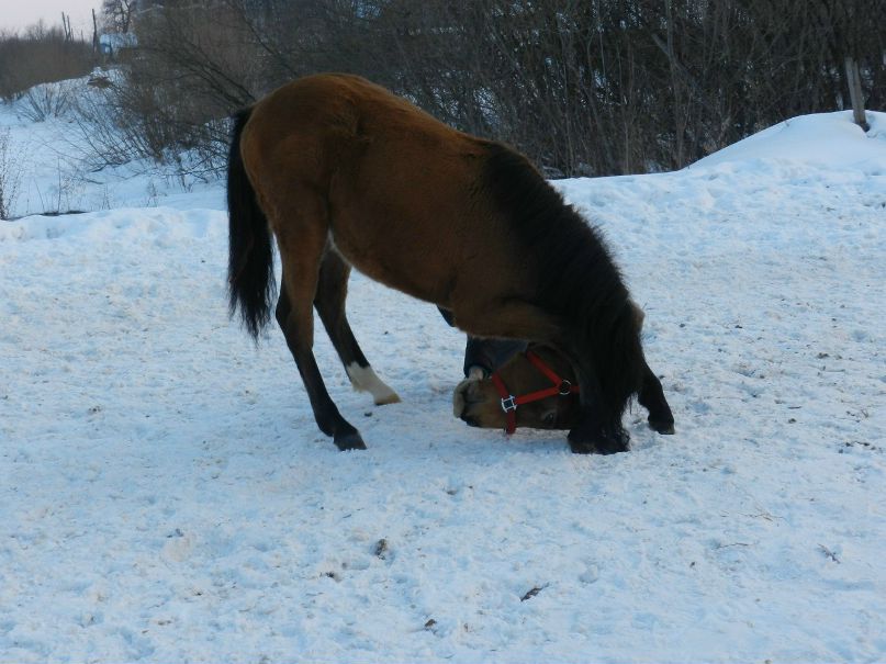 Anastasia Vyacheslavovna | Киров