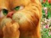 Анна Крылова | Санкт-Петербург