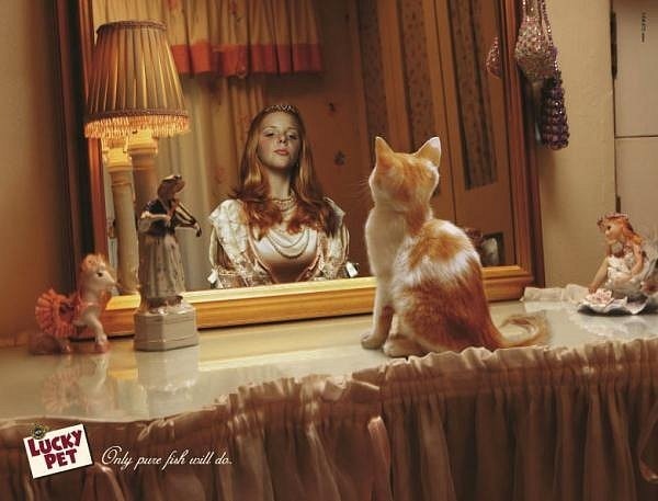 №118, Дарья, Киев №118, Дарья, Киев