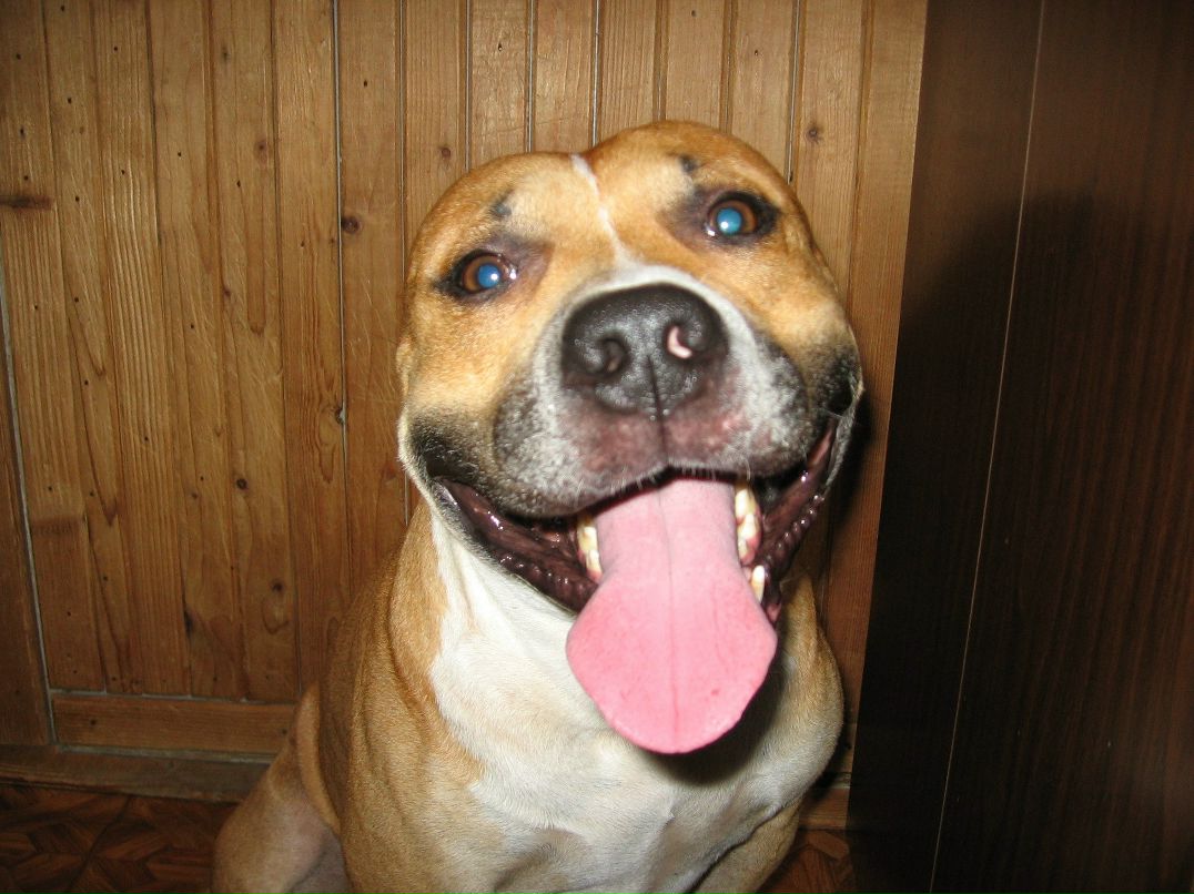 Светлана Снегирева | Санкт-Петербург