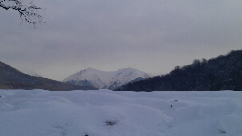 Михаил Чумаков | Волгоград