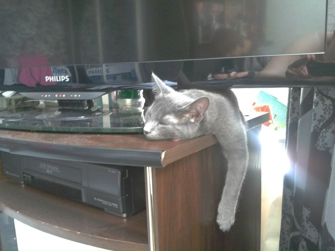 Даша Василец Dadla | Praha