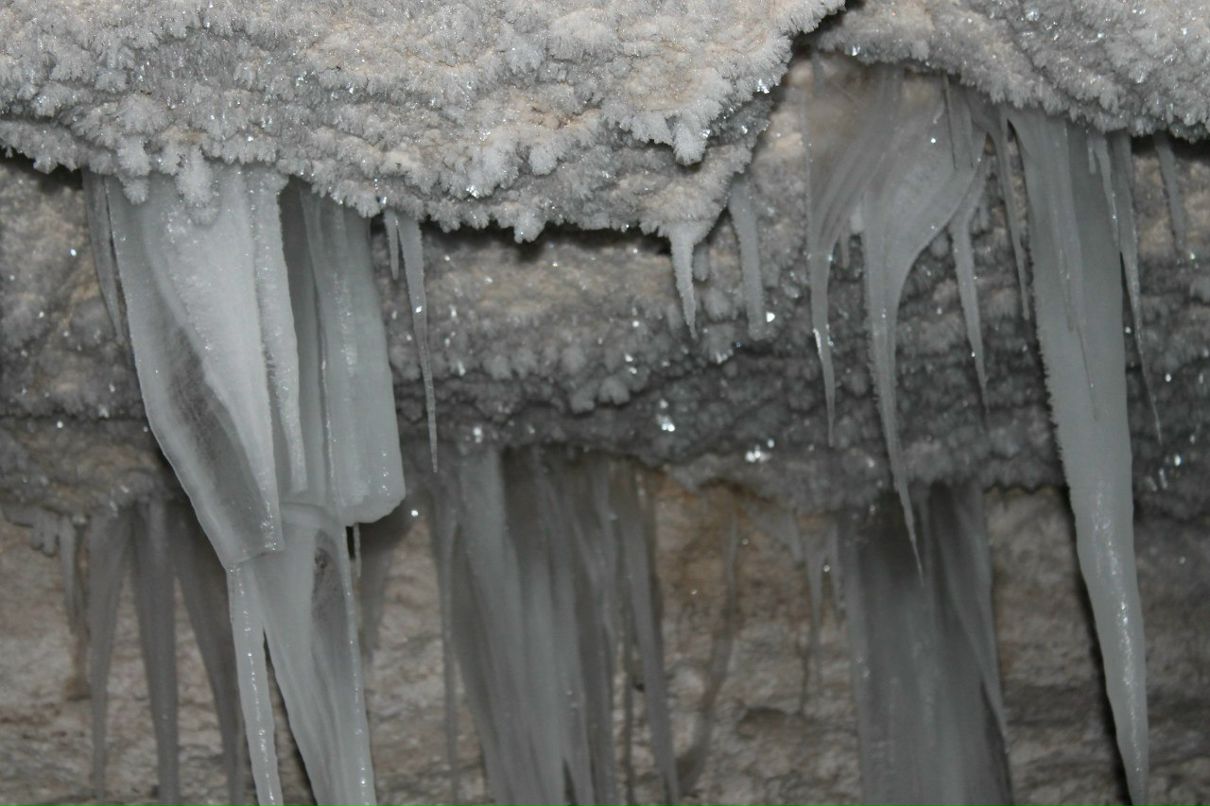 Виктор Половников | Архангельск