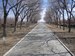 Алексей Шлёнский фотография #41