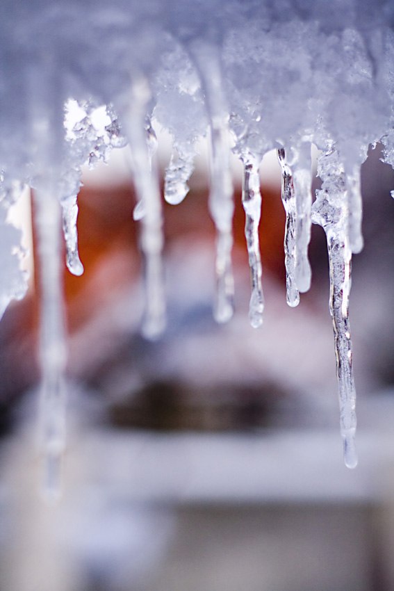 Максим Роднов | Москва