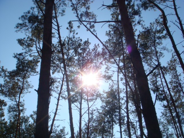 Роман Євгенович | 