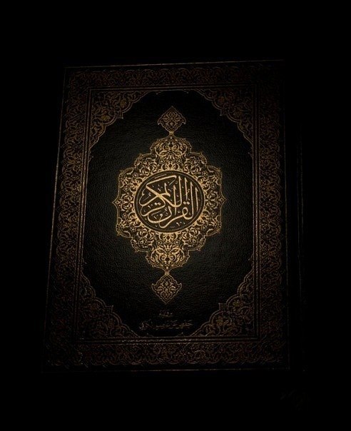 Farid Gasanoff ♦♦♦♦ | Bangkok