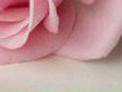 Александр Колосов | Дзержинский