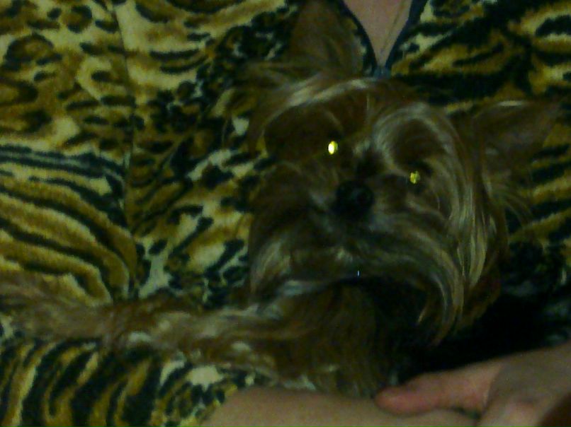 Ирина Лазоркина | Москва