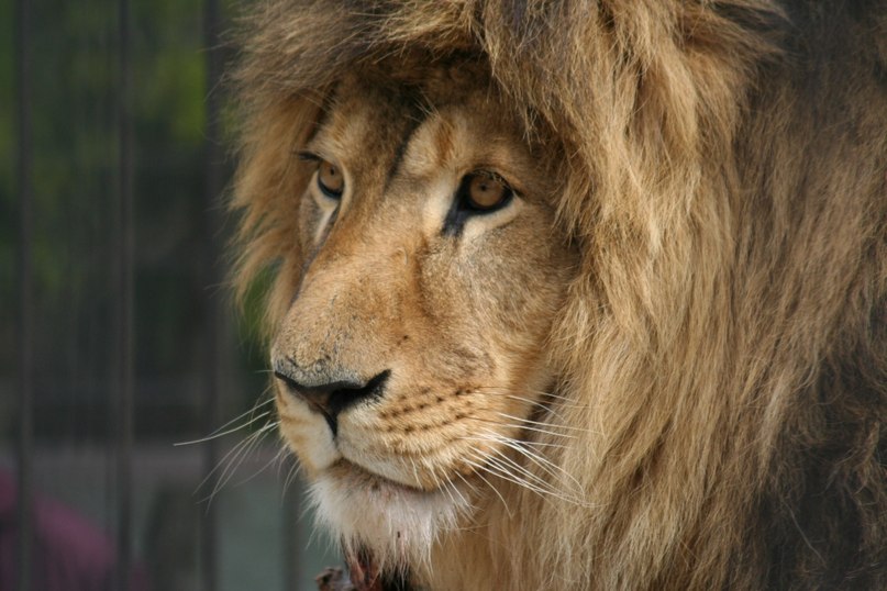 Дмитрий Остапенко | Запорожье