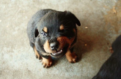 Анна Соловьева | Таллин