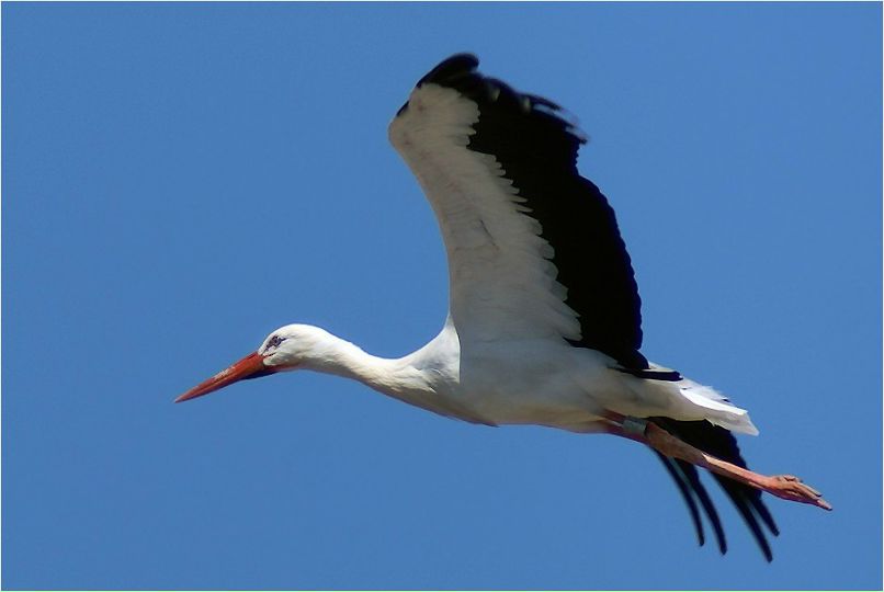 Кристина Марчук | Киев