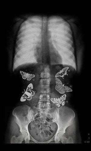 Олександра Мазяр | 