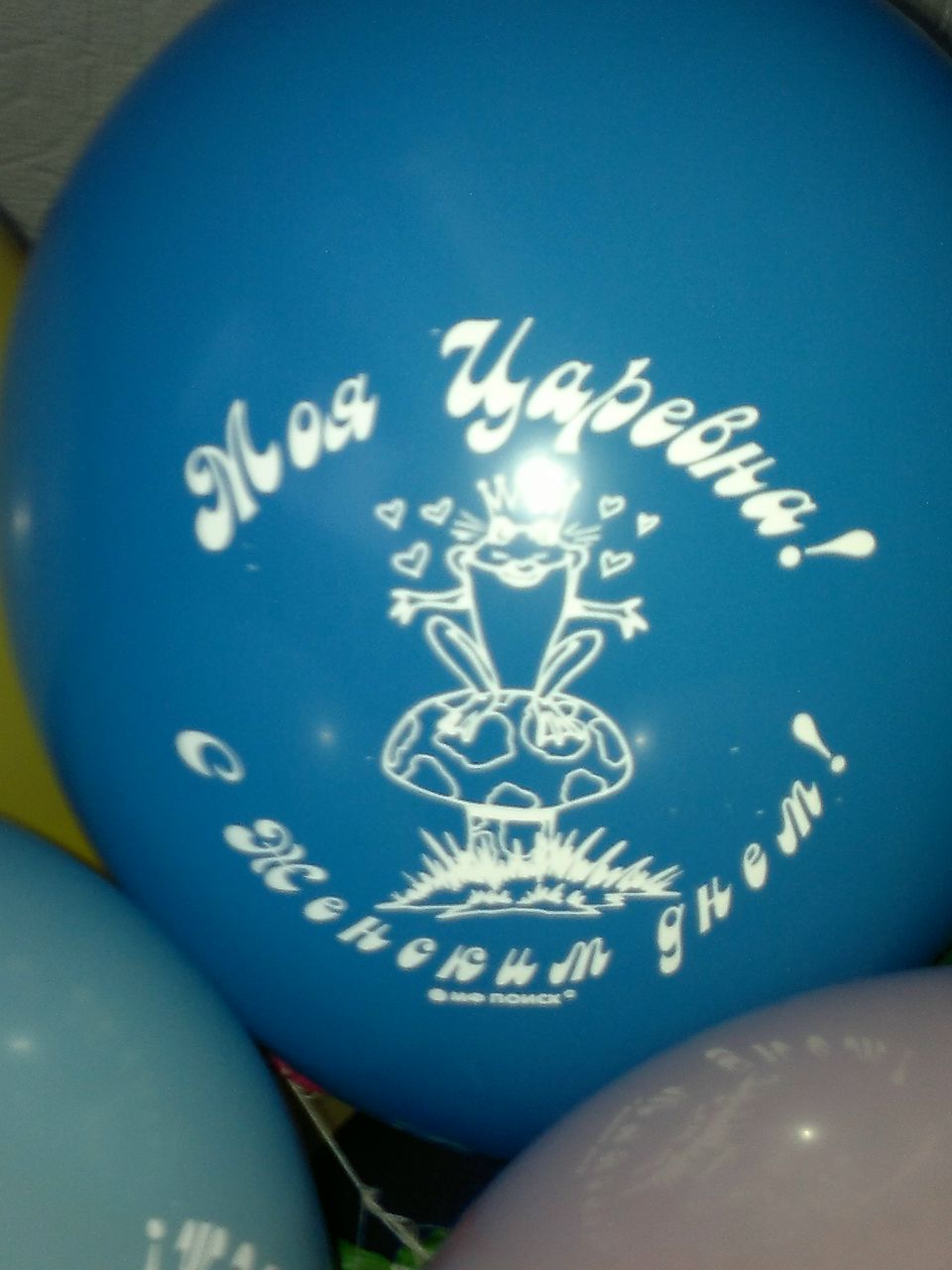 Мария Решетнева | Кандалакша