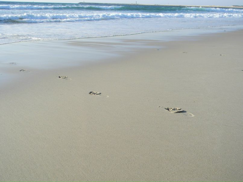 Олександр Шеремет | Киев