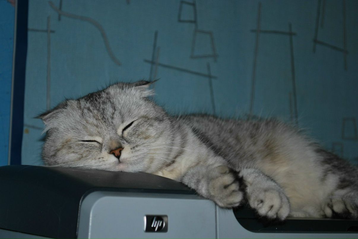 Екатерина Татанкина ketta | Оренбург