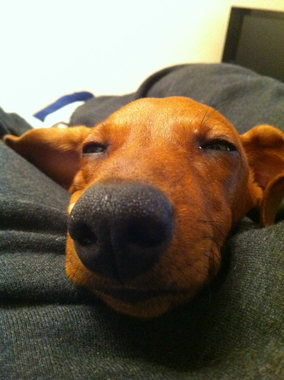 Никита Южанин | Новая Ялта