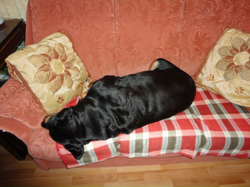 Юлия Поплавская | Omaha