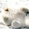 Аватар: Анастасия Пузько