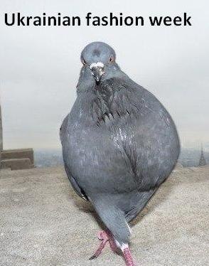 Валерий Волошин | Одесса