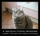Фотография Алеся Лука