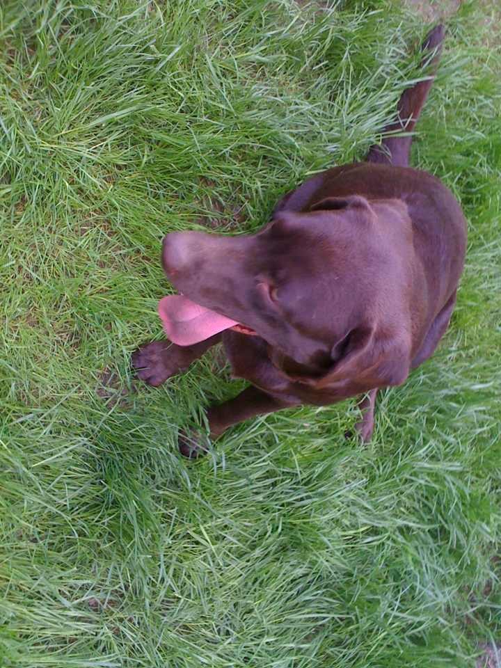 Яна Нитолкан | Санкт-Петербург