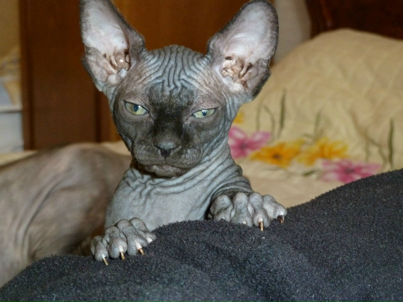 Ричард Палубинскас | Москва