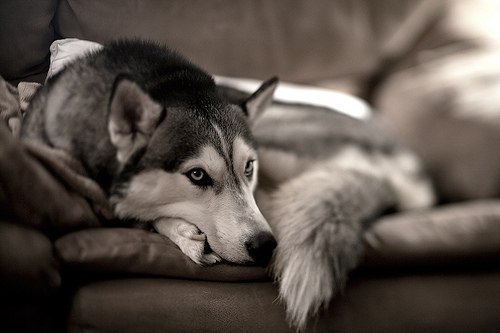 Илюха Маскевич Uncle MASKA | Москва