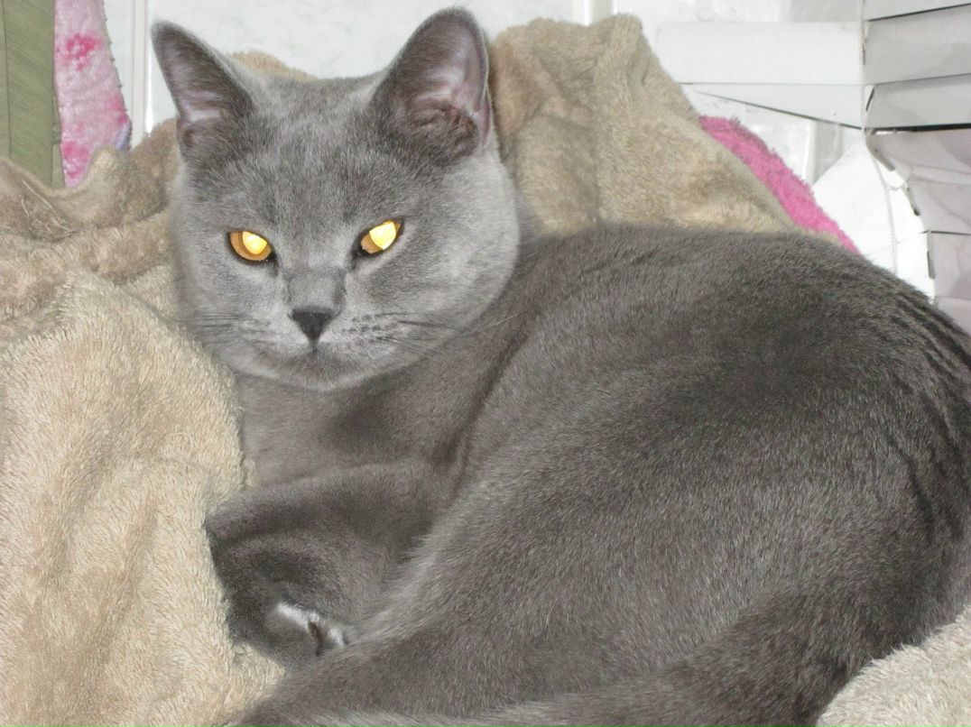 Ирина Цымбал | 