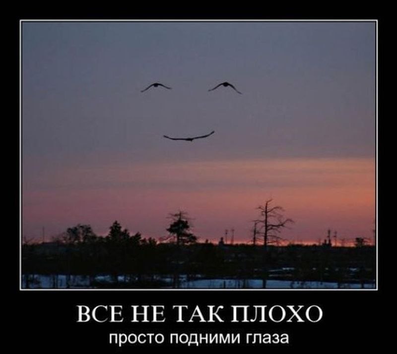 Дмитрий Юрьевич | Саратов