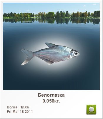 Денис Ткачук | Киев