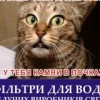 Аватар: Asdf Dsdf